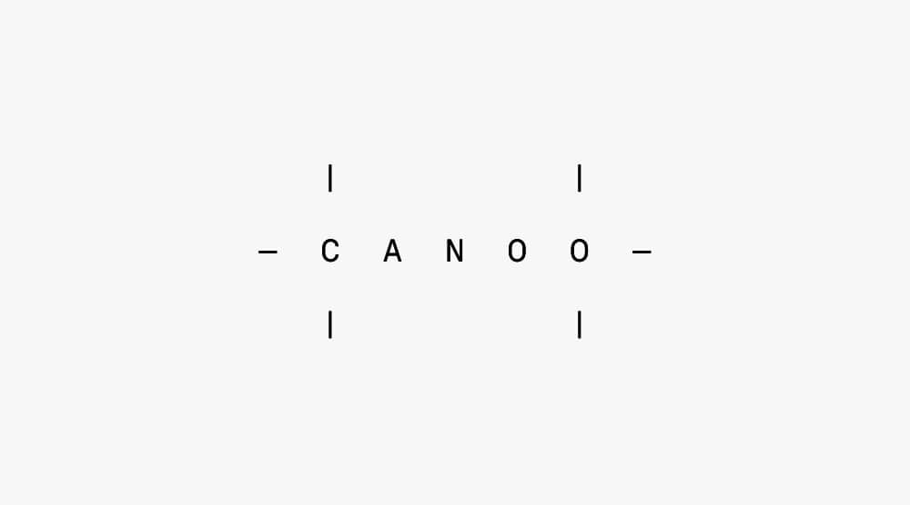 Canoo Introduces Board Of Directors