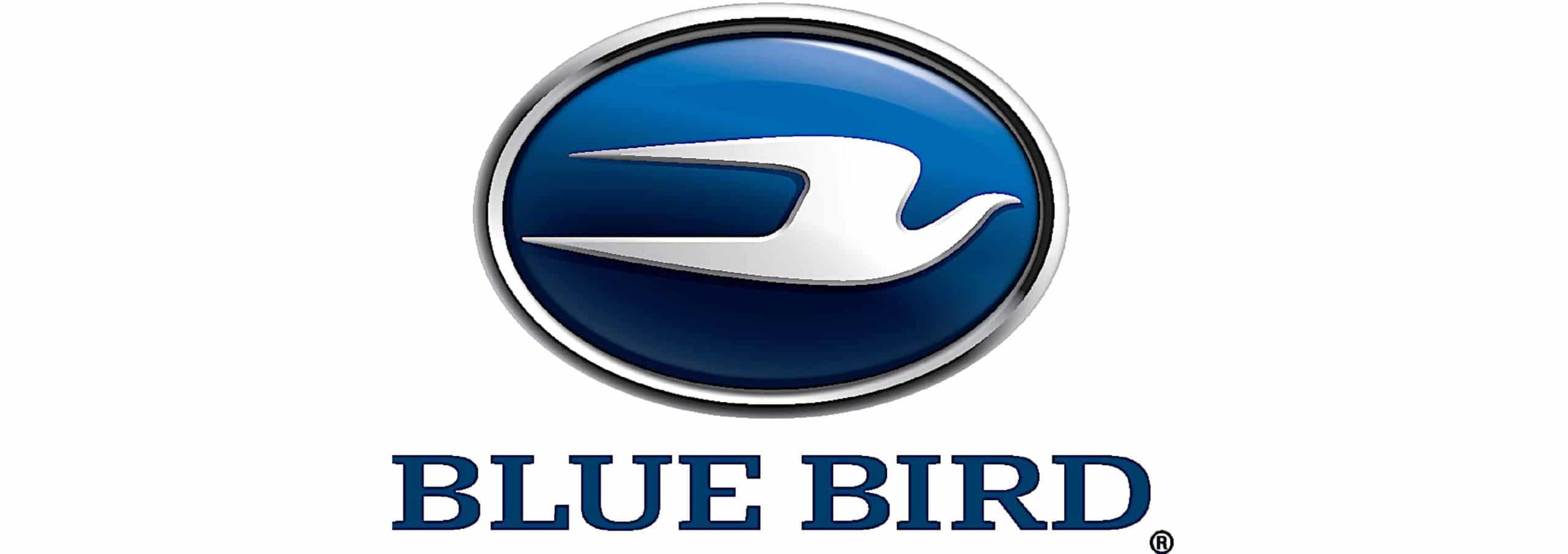 Blue Bird Charges Ahead with 500 Electric School Buses in North America